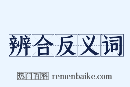 辨合反义词是什么意思的图片